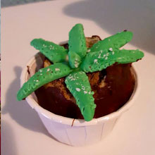 Aloe vera de Cupcakes Valencia